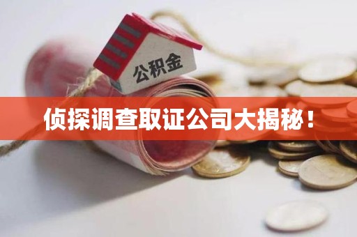 南平侦探调查取证公司大揭秘！