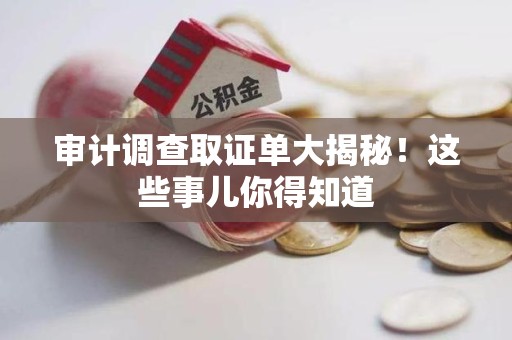 南平审计调查取证单大揭秘！这些事儿你得知道
