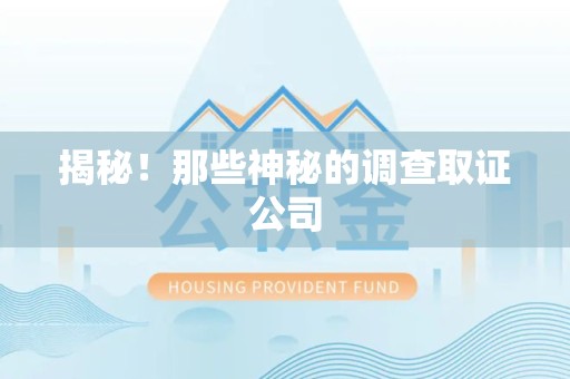 南平揭秘！那些神秘的调查取证公司