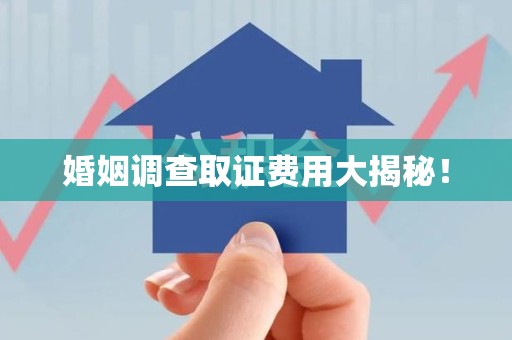 南平婚姻调查取证费用大揭秘！