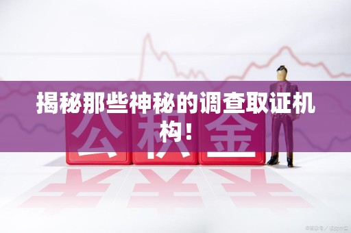 南平揭秘那些神秘的调查取证机构！