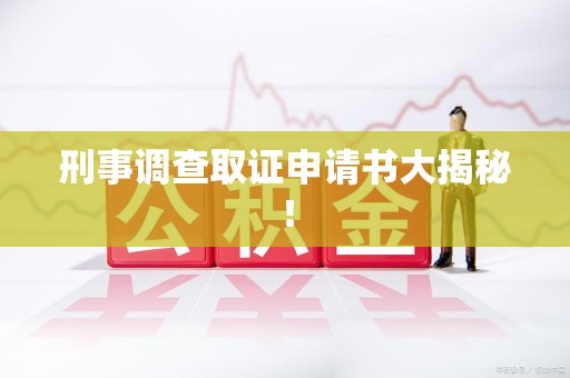 南平刑事调查取证申请书大揭秘！