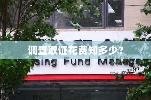 南平调查取证花费知多少？