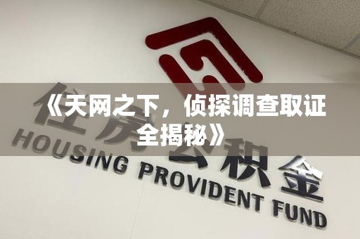 南平《天网之下，侦探调查取证全揭秘》