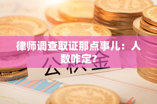 南平律师调查取证那点事儿：人数咋定？