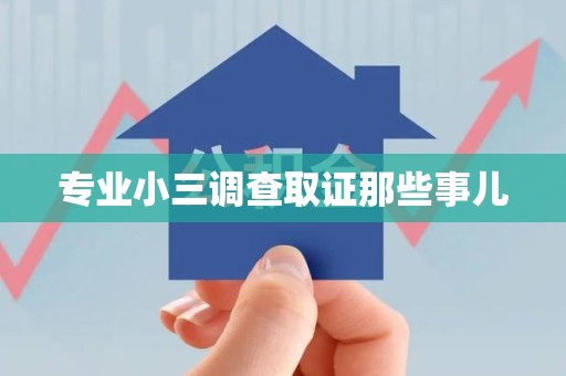 南平专业小三调查取证那些事儿