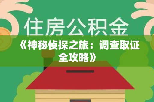 南平《神秘侦探之旅：调查取证全攻略》