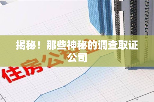 南平揭秘！那些神秘的调查取证公司