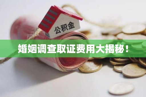 南平婚姻调查取证费用大揭秘！