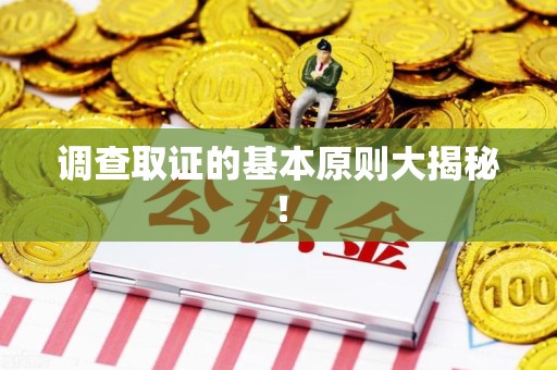 南平调查取证的基本原则大揭秘！
