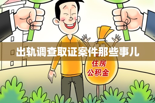 南平出轨调查取证案件那些事儿