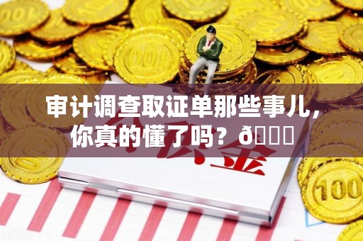 南平审计调查取证单那些事儿，你真的懂了吗？😎
