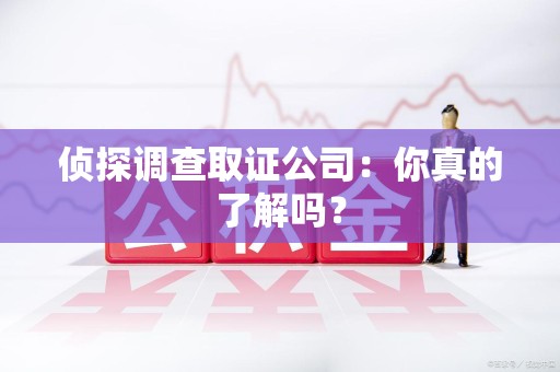 南平侦探调查取证公司：你真的了解吗？