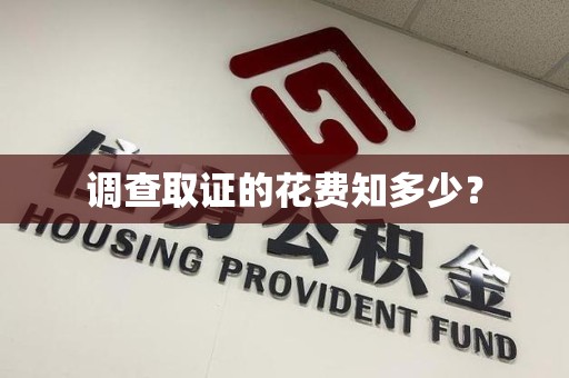 南平调查取证的花费知多少？
