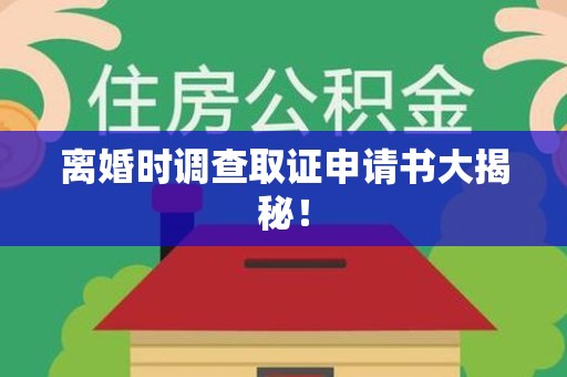 南平离婚时调查取证申请书大揭秘！